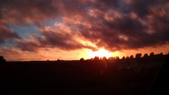 Landscapes sunset Trees sun dark red orange travel trance