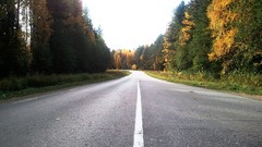 Landscapes sunset Trees sun lines roads forests skyscapes