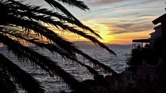 Landscapes sunset water palm trees croatia silhouettes