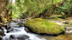 Landscapes tasmania 3D renders