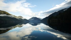 Landscapes Taylor McCutchan