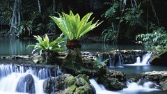 Landscapes Thailand national park