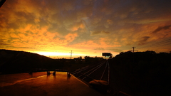 Landscapes trains railroad tracks