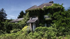 Landscapes Trees abandoned houses cityscapes forests