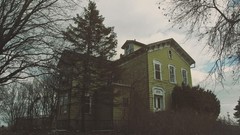 Landscapes Trees abandoned houses evergreens