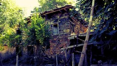 Landscapes Trees abandoned houses forests