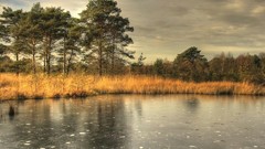 Landscapes Trees android canal