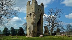 Landscapes Trees Animals clouds sheep ruins