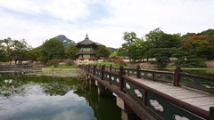 Landscapes Trees architecture Bridges