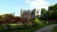 Landscapes Trees architecture buildings