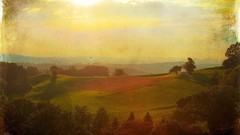 Landscapes Trees artwork