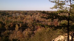Landscapes Trees autumn