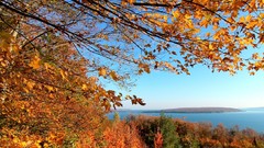 Landscapes Trees autumn