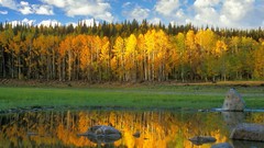 Landscapes Trees autumn
