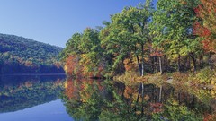 Landscapes Trees autumn