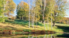 Landscapes Trees autumn