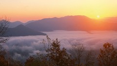 Landscapes Trees autumn