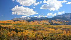 Landscapes Trees autumn