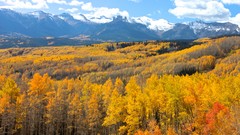 Landscapes Trees autumn