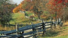Landscapes Trees autumn gap Parks fences historic National