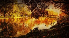 Landscapes Trees autumn lakes Lack