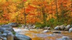 Landscapes Trees autumn rivers