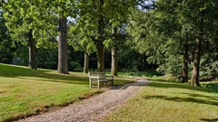Landscapes Trees bench paths