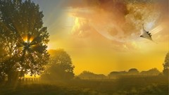 Landscapes Trees Birds