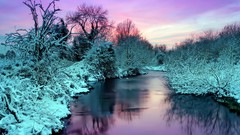 Landscapes Trees blue purple rivers