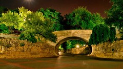 Landscapes Trees Bridges