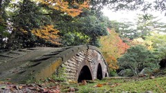 Landscapes Trees Bridges
