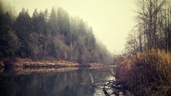 Landscapes Trees bushes rivers