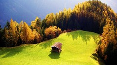 Landscapes Trees cabin