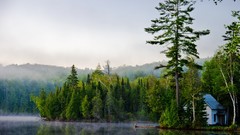 Landscapes Trees Canada houses quebec forests