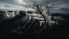 Landscapes Trees canyon skyscapes