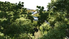 Landscapes Trees cars racing video games Project C.A.R.S