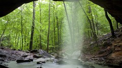 Landscapes Trees caves