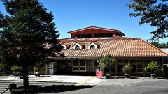 Landscapes Trees Chinese houses sunlight skies