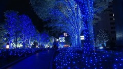 Landscapes Trees cities