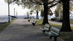 Landscapes Trees cities