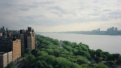 Landscapes Trees cities rivers cityscapes