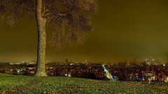 Landscapes Trees city skyline