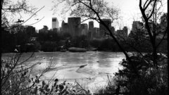 Landscapes Trees cityscapes buildings