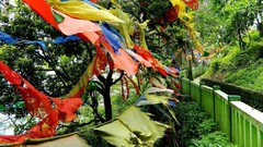 Landscapes Trees Clothing India