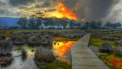 Landscapes Trees clouds