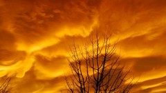 Landscapes Trees clouds