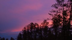 Landscapes Trees clouds