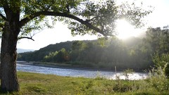 Landscapes Trees clouds