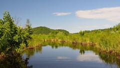 Landscapes Trees clouds