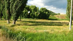 Landscapes Trees clouds